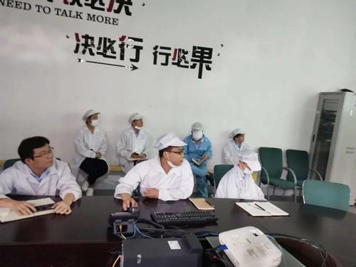 第十一事業部涂裝深圳工廠成功舉辦技術交流活動，共促工藝革新與質量提升