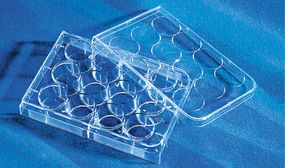 南京凱基生物科技發(fā)展有限公司耗材產(chǎn)品展示